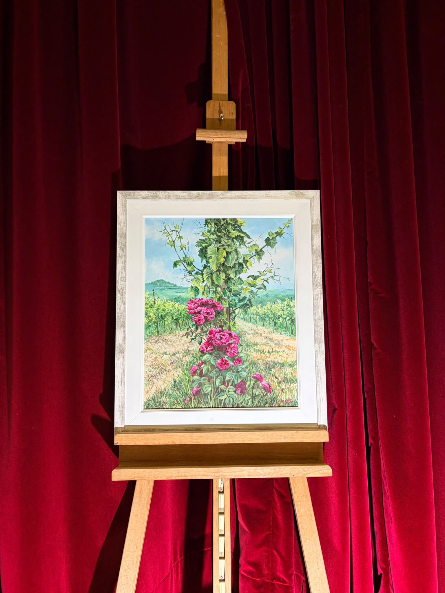 In mezzo alla vigna di Ezio Cescutti